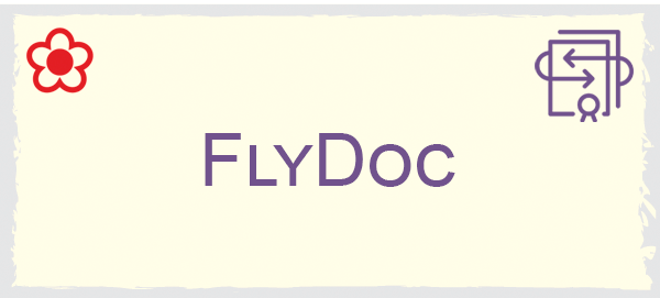 FlyDoc ІТС сервіс