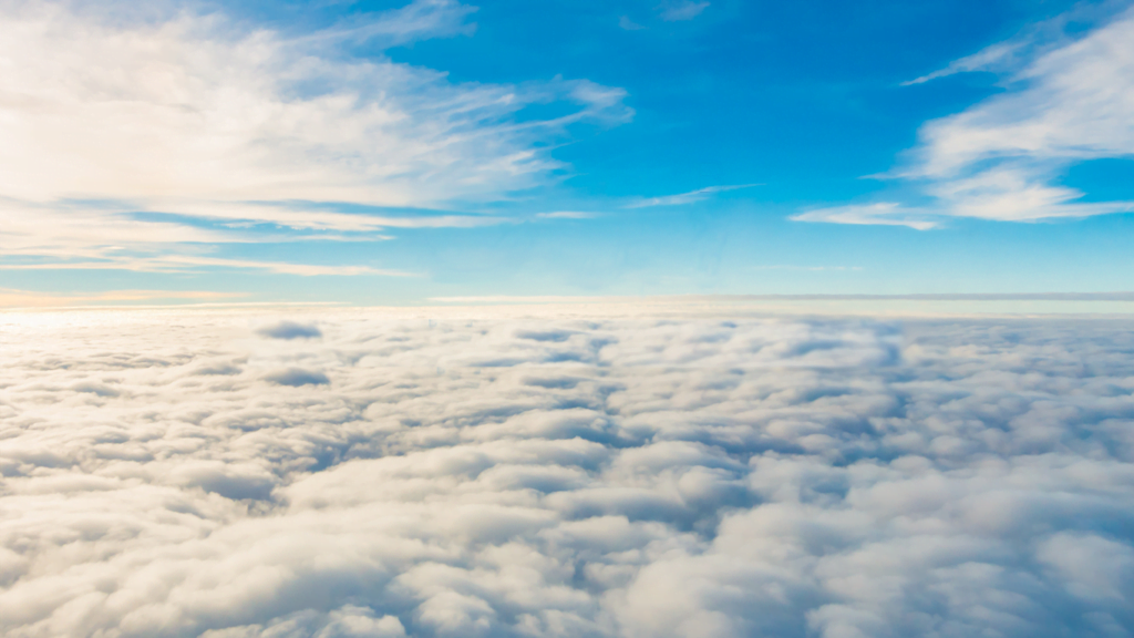 BAS Бухгалтерія